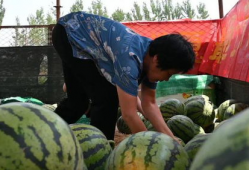 天津下老头吃瓜爆料,揭秘娱乐圈幕后真相